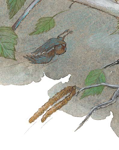 Corre, pardalet - Imagen 3