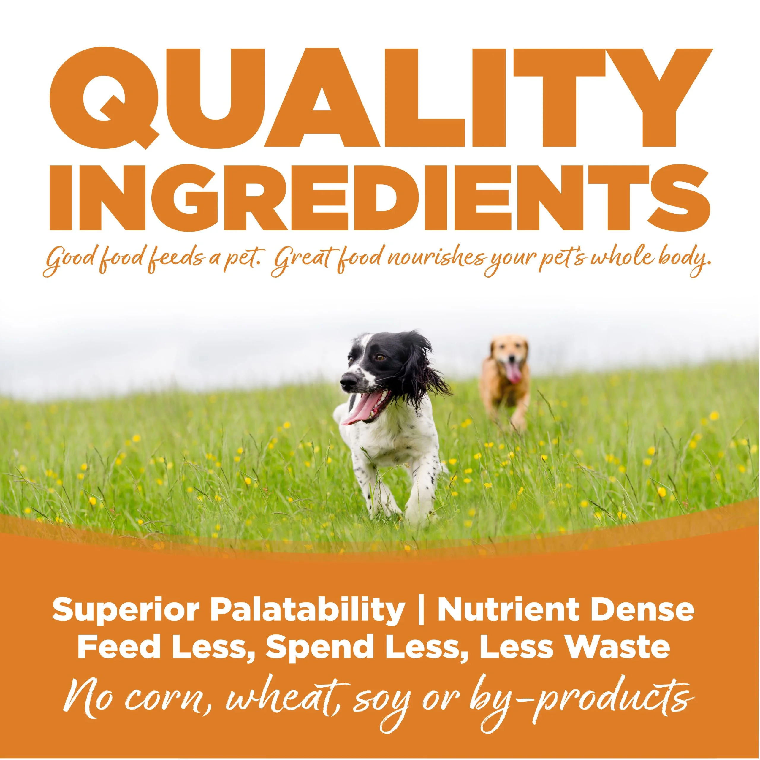 Lata Nutrisource Cordero y Arroz - Imagen 2
