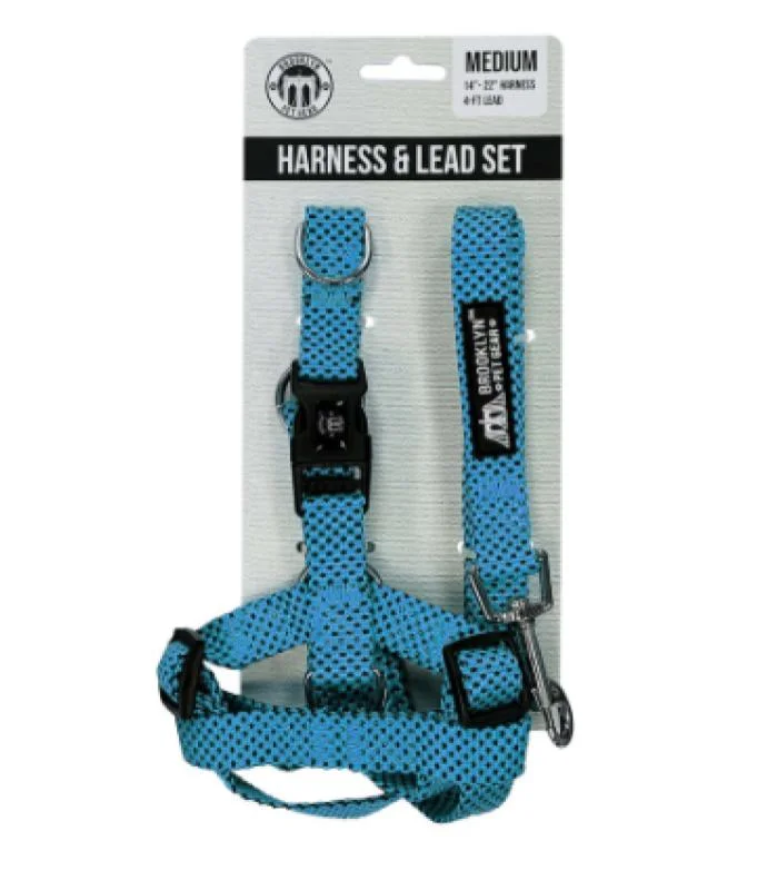 Set de pechera y correa azul para perro Talla M